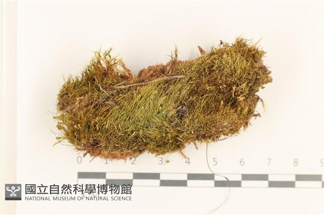 登錄號:B00017406藏品圖，第1張