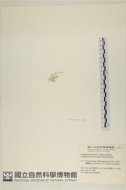 登錄號:A00007806藏品圖，第3張