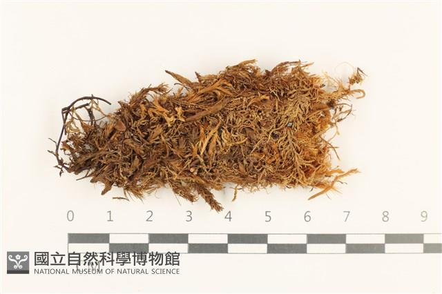 登錄號:B00016686藏品圖，第1張