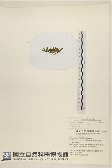 登錄號:A00002286藏品圖，第3張