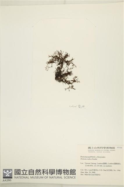 登錄號:A00004286藏品圖，第3張