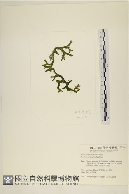 登錄號:A00006086藏品圖，第1張