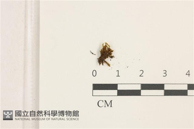 登錄號:B00016186藏品圖，第1張