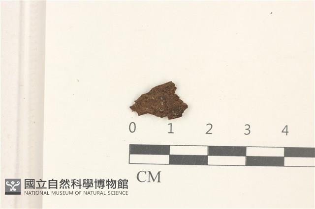 登錄號:B00015586藏品圖，第1張