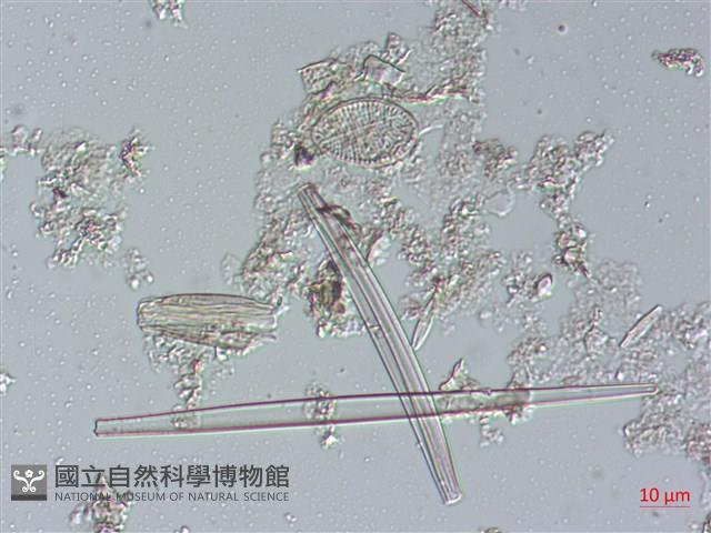 登錄號:A00004486藏品圖，第3張