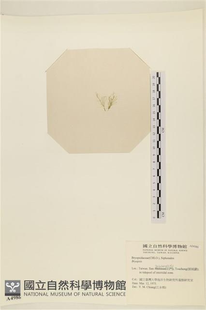 登錄號:A00004986藏品圖，第3張