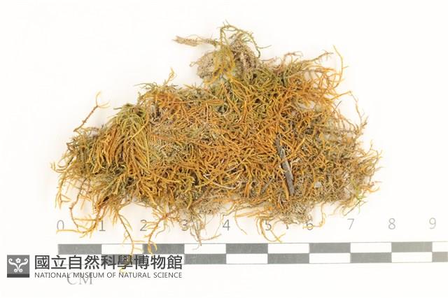 登錄號:B00012386藏品圖，第1張