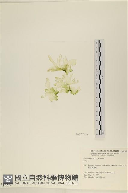 登錄號:A00001386藏品圖，第3張