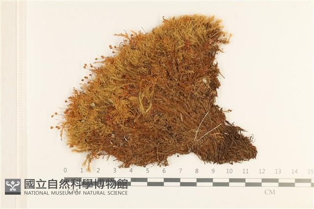 登錄號:B00001786藏品圖，第1張