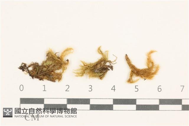 登錄號:B00009634藏品圖，第1張