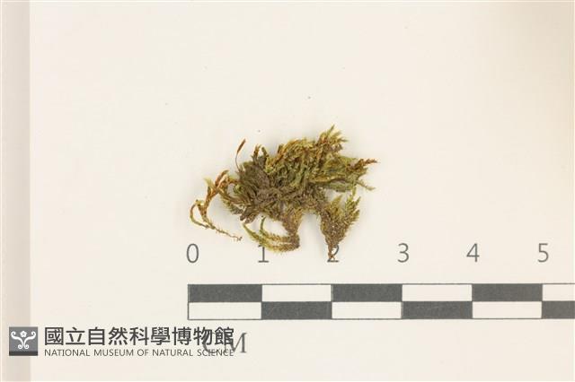 登錄號:B00014634藏品圖，第1張