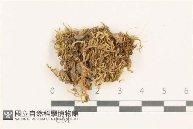 登錄號:B00017634藏品圖，第1張