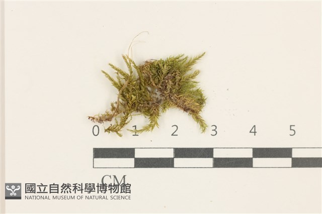 登錄號:B00015134藏品圖，第1張