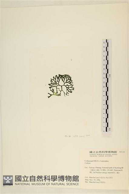登錄號:A00001134藏品圖，第3張