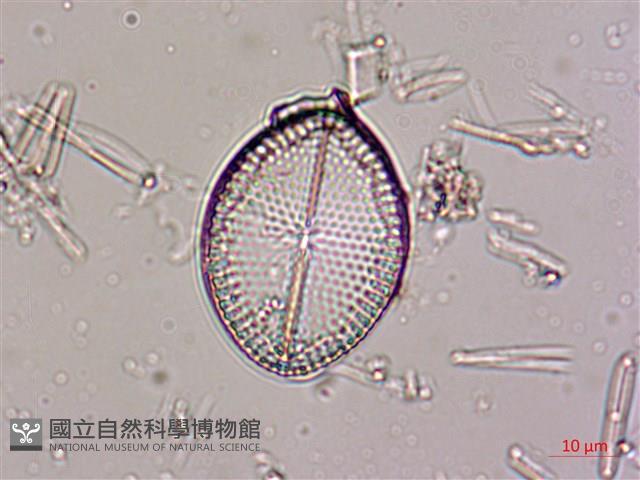 登錄號:A00004534藏品圖，第4張