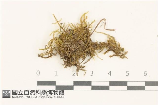 登錄號:B00015534藏品圖，第1張