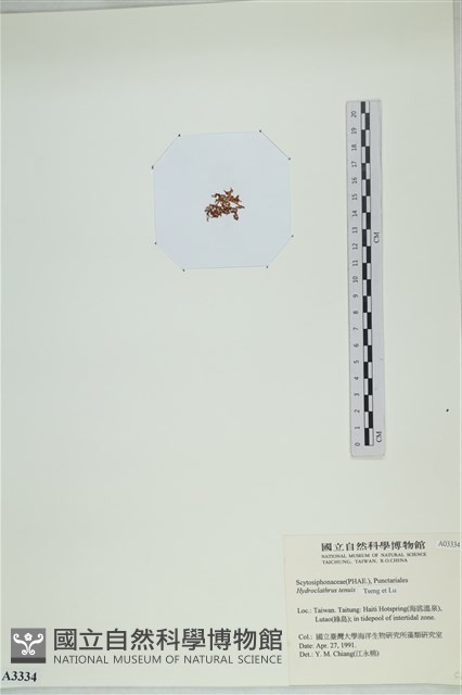 登錄號:A00003334藏品圖，第3張