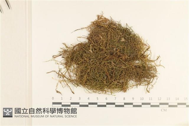 Accession Number:B00013734 Collection Image, Figure 1, Total 2 Figures