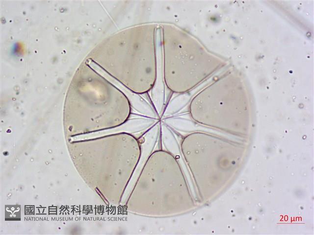 登錄號:A00004654藏品圖，第4張