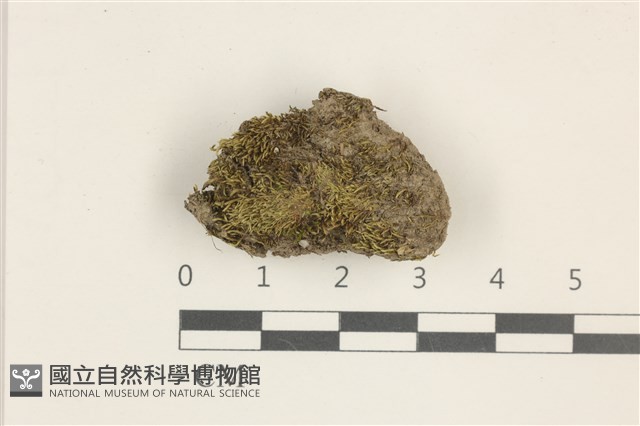 登錄號:B00016254藏品圖，第1張