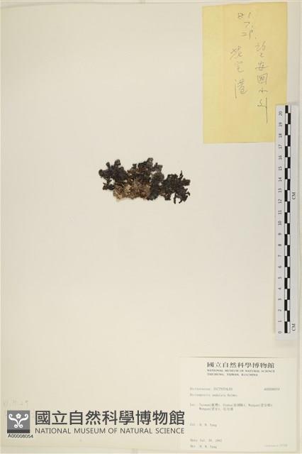 登錄號:A00008054藏品圖，第3張