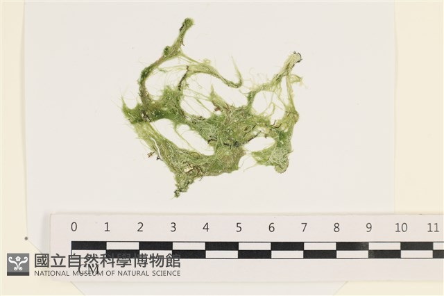 登錄號:A00002554藏品圖，第1張