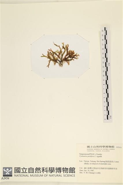 登錄號:A00002454藏品圖，第3張
