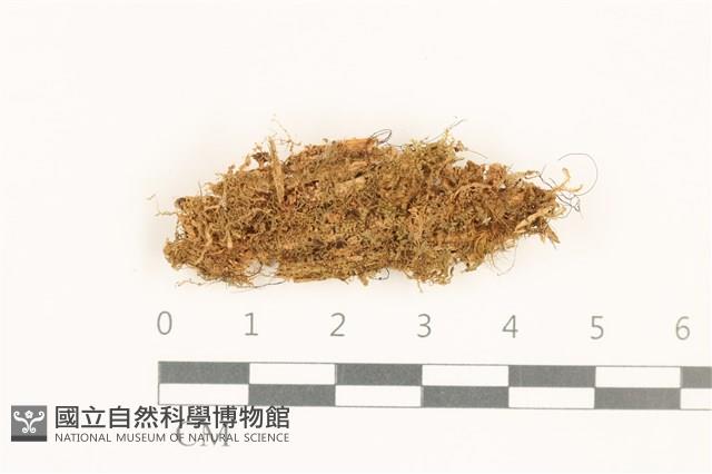登錄號:B00019454藏品圖，第1張