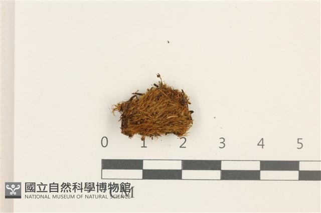 登錄號:B00014454藏品圖，第1張