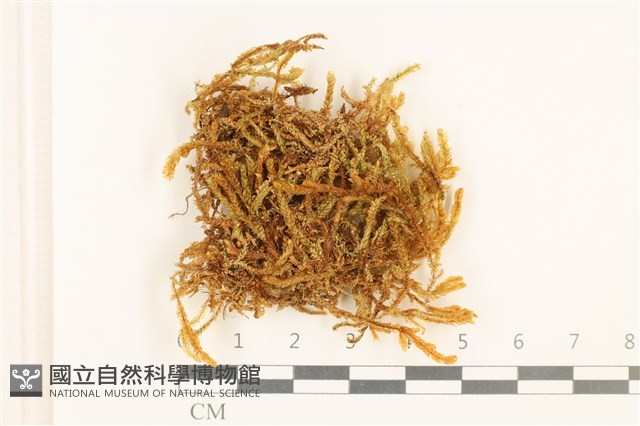 登錄號:B00000454藏品圖，第1張