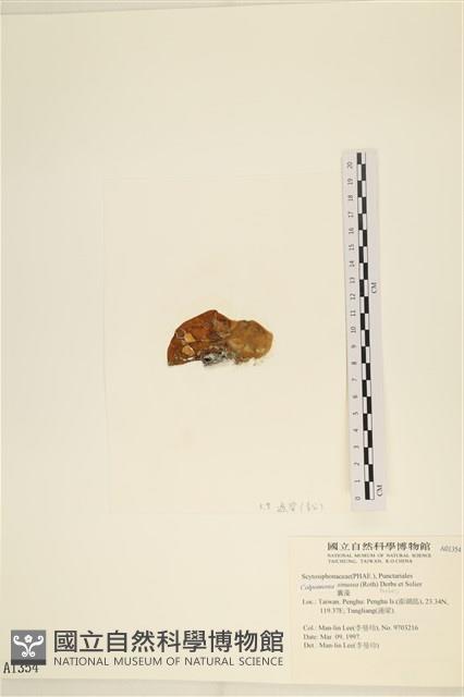登錄號:A00001354藏品圖，第3張