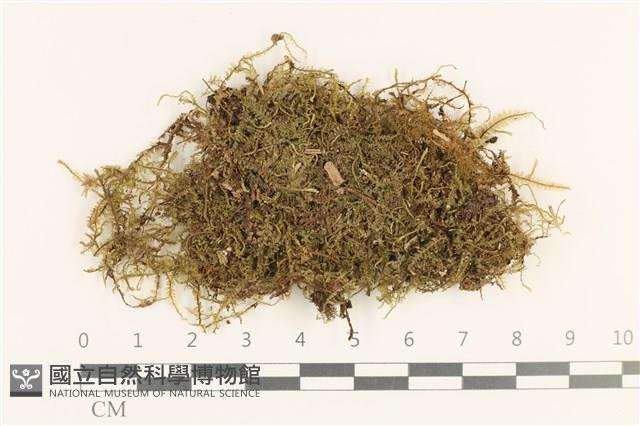 登錄號:B00000754藏品圖，第1張