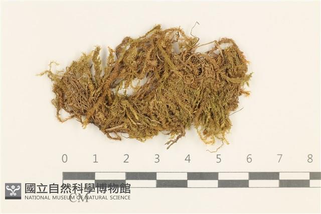 登錄號:B00009624藏品圖，第1張