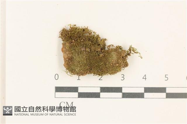 登錄號:B00004624藏品圖，第1張