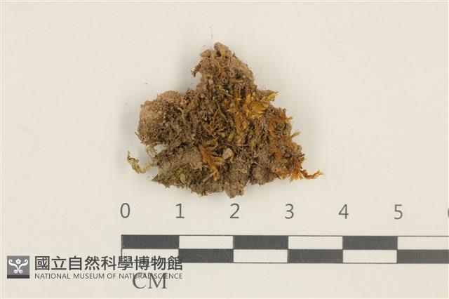 登錄號:B00017624藏品圖，第1張