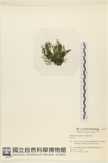 登錄號:A00002224藏品圖，第3張