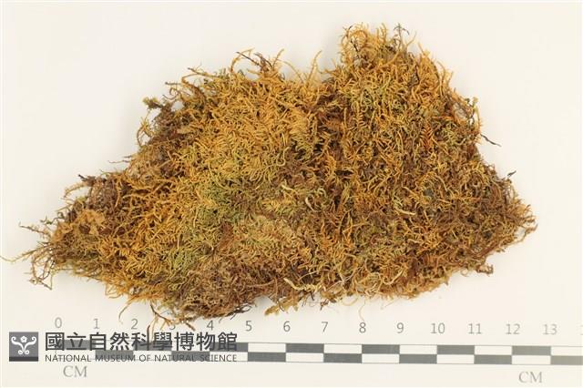 登錄號:B00017224藏品圖，第1張