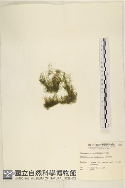 登錄號:A00000224藏品圖，第3張