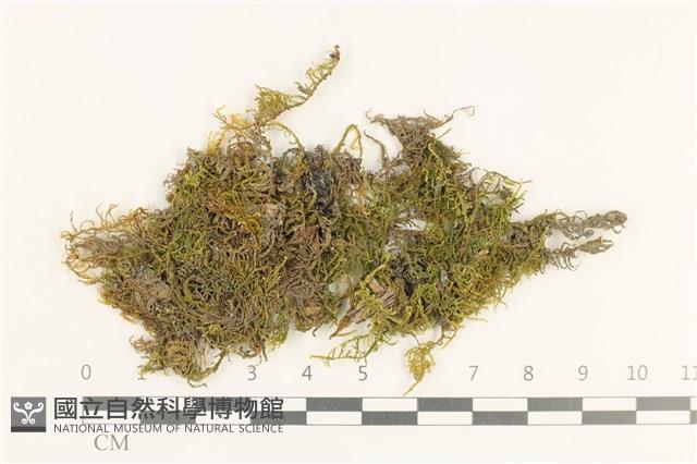 登錄號:B00003224藏品圖，第1張