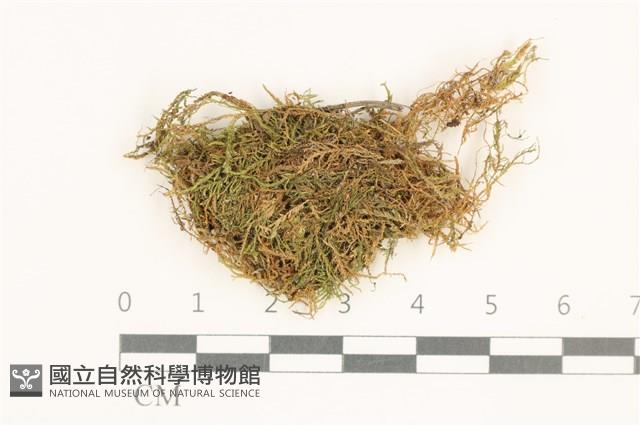 登錄號:B00015124藏品圖，第1張