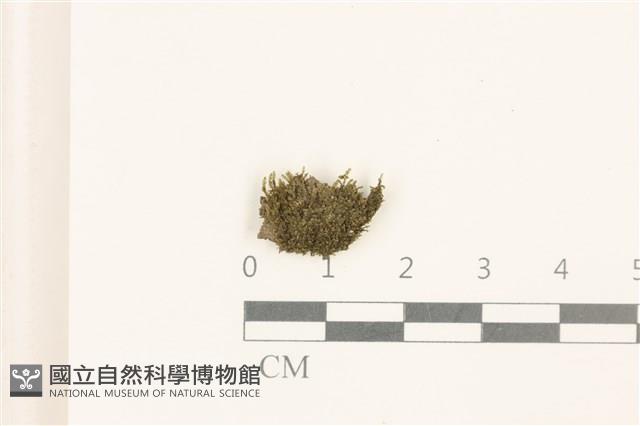 登錄號:B00019524藏品圖，第1張