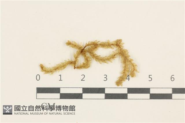 Accession Number:B00004524 Collection Image, Figure 1, Total 2 Figures