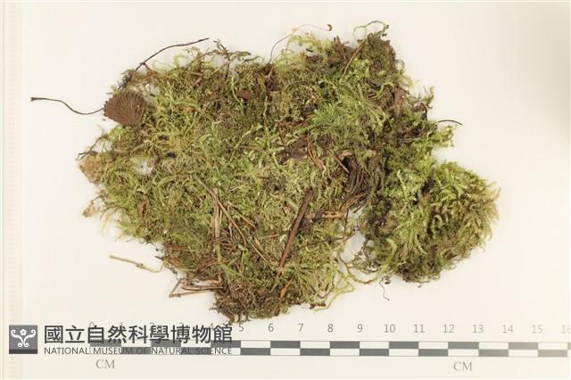 登錄號:B00012424藏品圖，第1張