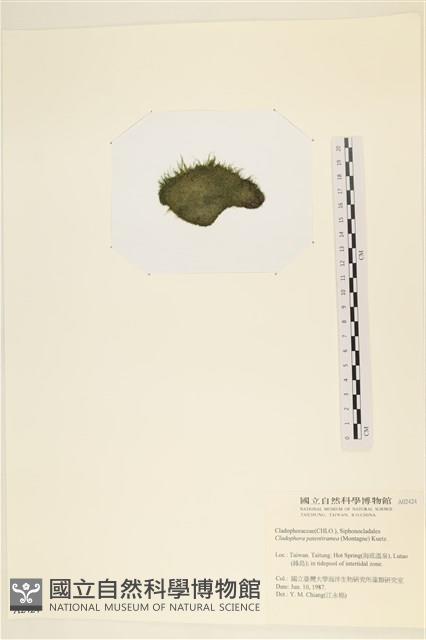 登錄號:A00002424藏品圖，第3張