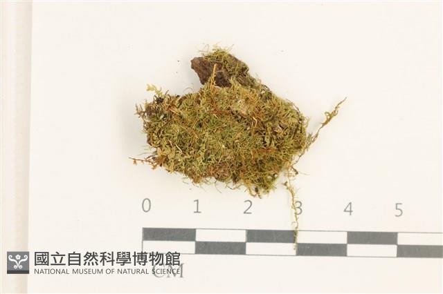 登錄號:B00001724藏品圖，第1張