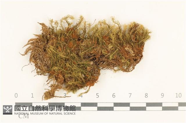 登錄號:B00013724藏品圖，第1張