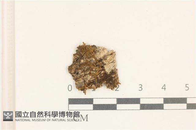 登錄號:B00002674藏品圖，第1張