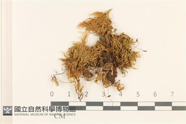 登錄號:B00004674藏品圖，第1張