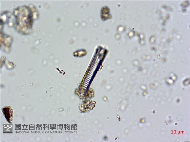 登錄號:A00004674藏品圖，第4張