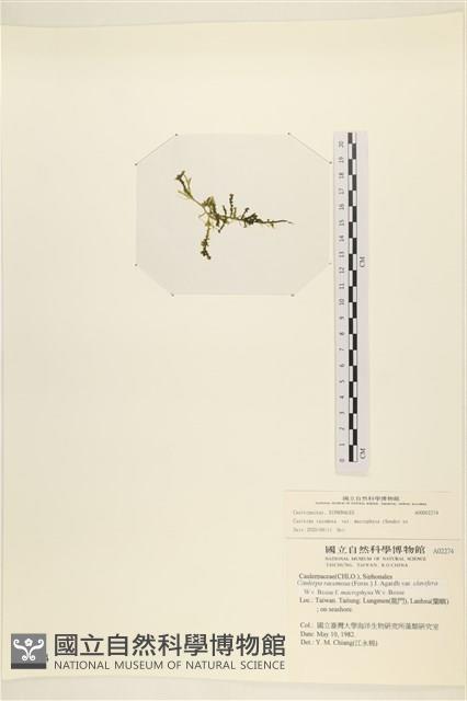 登錄號:A00002274藏品圖，第3張